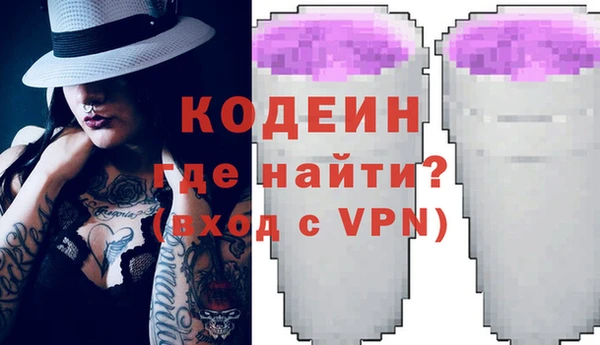 гашик Алексин