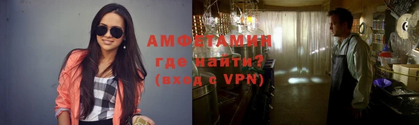 гашик Алексин