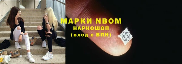 гашик Алексин