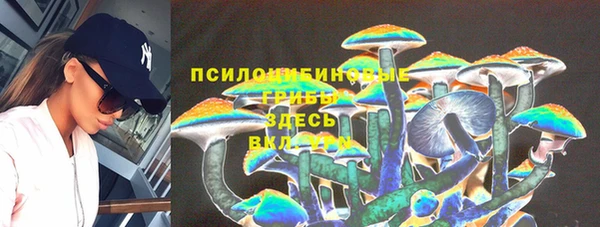 шишки Алзамай