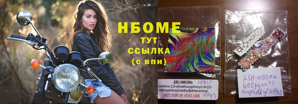 гашик Алексин