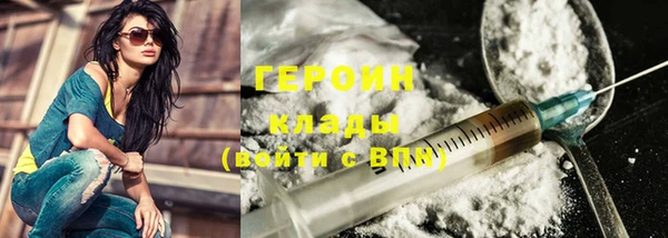 гашик Алексин